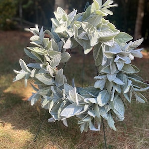 Flocked Lamb&#39;s Ear Wreath for Front Door | Year-Round Farmhouse Greenery Wreath | Modern Rustic Home Decor | Everyday Welcome Wreath