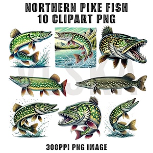 Northern Pike Fish PNG Bundle | Muskellunge Fishing Png | Fishing Png | Jumping Fish Png | fishing clipart | Northern pike vector