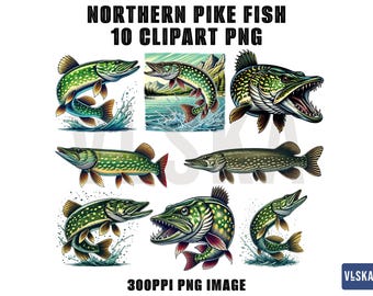 Paquete PNG de lucio del norte / Pesca de lucioperca / Pesca PNG / Pez saltador PNG / Clipart de pesca / Vector de lucio del norte