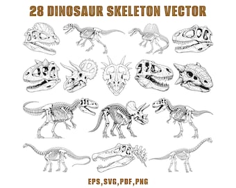 Paquete SVG de esqueleto de dinosaurio, 28 imágenes prediseñadas detalladas de fósiles prehistóricos, vector de cráneo de T-Rex Spinosaurus, archivos de corte de camiseta retro de dinosaurio PNG EPS