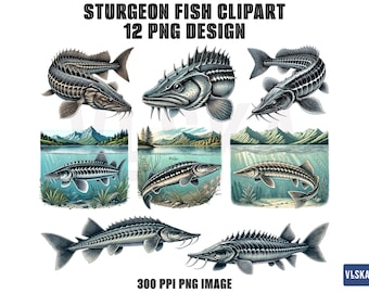 Sturgeon Fish PNG Clipart | Lake Sturgeon Fishing | Digital Graphic, Instant Download, Digital Download Graphic, Nature Illustration