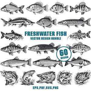 Peut inclure: Une collection d'illustrations en noir et blanc de diverses espèces de poissons d'eau douce disposées en grille. Le texte indique FRESHWATER FISH VECTOR DESIGN BUNDLE, 60 DESIGN, et EPS, PDF, SVG, PNG. Chaque poisson est dessiné avec précision.