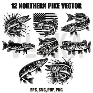 Northern Pike Vector Bundle | Muskellunge vector drawing | Fishing svg | Eps, Svg, Pdf, Png File | Instant file download