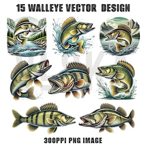 May include: 15 vector illustrations of walleye fish in various poses. The fish are depicted in a realistic style with detailed scales and fins. Some of the fish are jumping out of the water, while others are swimming in a more relaxed manner. The illustrations are perfect for use in a variety of projects, such as t-shirt designs, fishing logos, and website graphics.