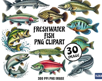 Freshwater Fish PNG Clipart Bundle for T-Shirt, Sticker, Wall Art – Bass, Walleye, Sunfish, Trout, Salmon, Catfish, Bluegill, Carp Designs