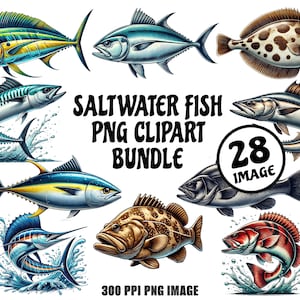 Saltwater Fish PNG Clipart Bundle | 28 Sea Fish Designs for T-Shirt, Stickers, Wall Art, Laser Cut, Sublimation