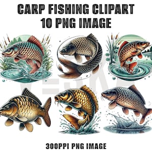 Carp Fishing PNG Bundle | Common carp fish | Fishing png | Jumping Fish png | Fishing vector | Carp fish clipart | Carp fishing illustration