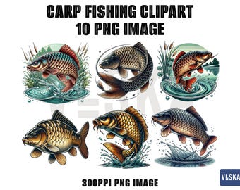 Paquete de imágenes PNG de pesca de carpa / Carpa común / PNG de pesca / PNG de pez saltando / Vector de pesca / Imágenes prediseñadas de carpa / Ilustración de pesca de carpa