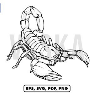 Scorpio Scorpion Vector Design | svg png pdf eps file | Scorpion vector drawing