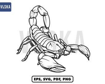 Scorpio Scorpion Vector Design | svg png pdf eps file | Scorpion vector drawing