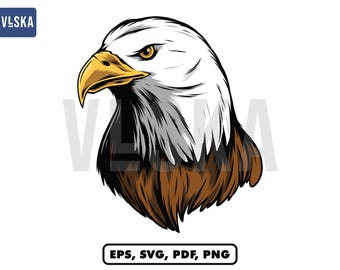 Bald Eagle Vector Design