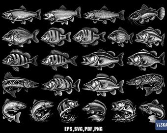 Paquete SVG de peces de agua dulce / 23 imágenes prediseñadas vectoriales de pesca PNG EPS / Lubina, trucha, carpa para imprimir en camisetas y calcomanías