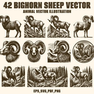 Op de afbeelding: Een verzameling van 42 vectorillustraties van Bighorn-schapen in vintage stijl. De afbeeldingen tonen verschillende poses van de schapen, waaronder volledige lichaams-, hoofd- en profielweergaven, met enkele tegen berg- en bosachtergronden. De tekst "42 BIGHORN SHEEP VECTOR" staat bovenaan.