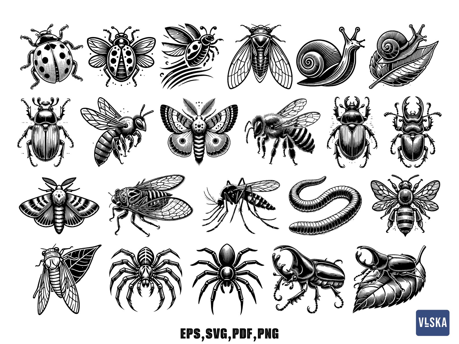 Insect Bug SVG Bundle for Cricut & Laser Cut – Butterfly, Beetle ...