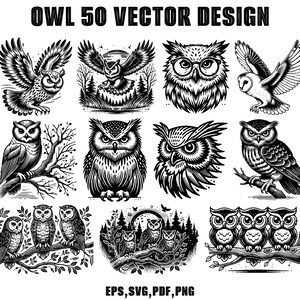 Könnte beinhalten: Ein Set mit 50 Vektor-Designs, die Eulen in verschiedenen Posen und Stilen zeigen. Die Eulen sind in Schwarzweiß dargestellt, mit filigranen Details und einer Vintage-Ästhetik. Die Designs eignen sich perfekt für die Verwendung in Bastelarbeiten, Scrapbooking oder digitalen Projekten.