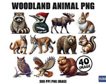 Woodland Animals PNG Clipart Bundle | Forest Creatures for T-Shirt, Stickers, Wall Art, Printable | 300 DPI Transparent Files