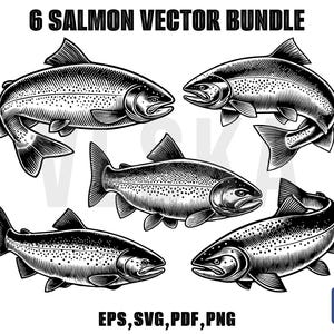 Salmon Vector SVG Bundle | Salmon Fishing Svg | Trout Svg | Salmon Svg | Salmon Fish Clipart | Salmon Fish Cricut | Fishing Svg