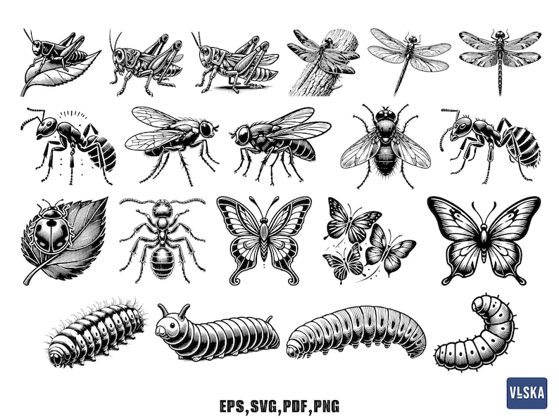 Insect Bug SVG Bundle for Cricut & Laser Cut – Butterfly, Beetle ...