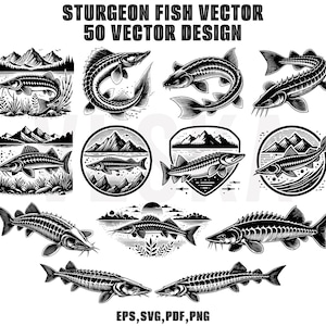 Sturgeon Fish Vector SVG Bundle | Sturgeon Fishing SVG | Fishing SVG | Jumping Fish Svg | Fishing Vector | Sturgeon fish Svg | Bass vector