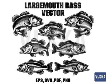 Paquete de vectores de lubina negra / Pesca de lubina SVG / Pesca SVG / Lubina saltando SVG / Vector de pesca / Lubina negra Svg