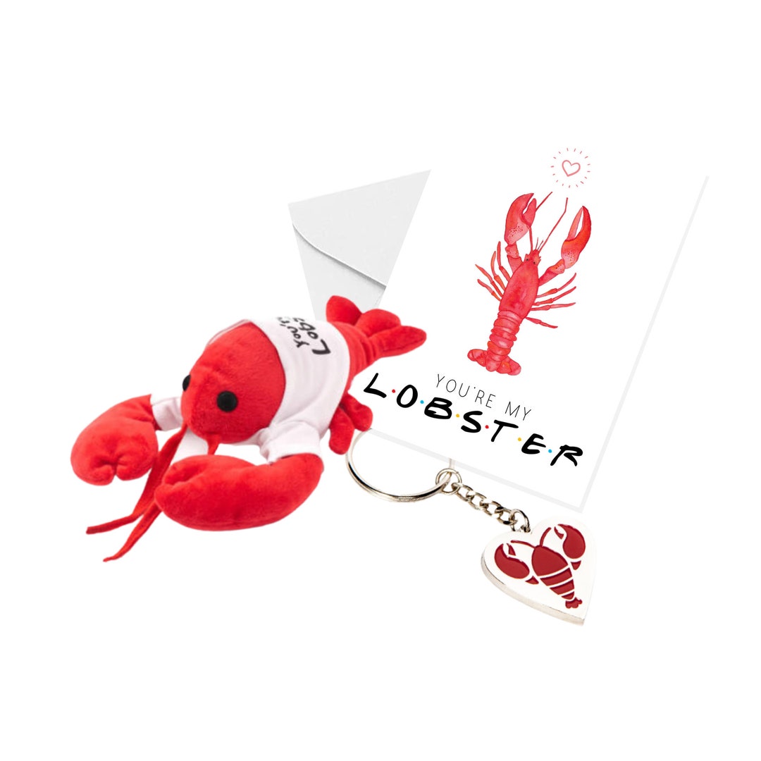 You're My Lobster Gift Bundle Lobster Plush Lobster Etsy