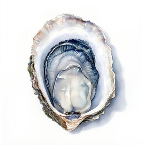 10 Printable Oyster Clipart, Seafood Watercolor, Oyster Art, Seafood ...