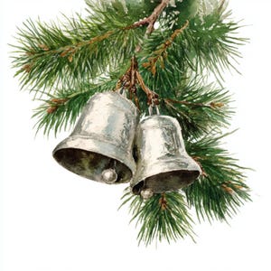 Op de afbeelding: Waterverfschilderij van twee zilveren bellen die aan een dennentak hangen. De bellen hebben een glanzende metalen afwerking en hangen aan een bruine tak met groene naalden. De achtergrond is wit.