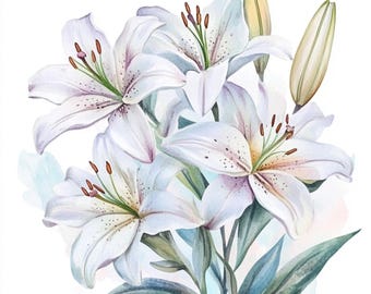 10 枚の印刷可能な白いユリの花、水彩画のユリ、植物のユリのアート