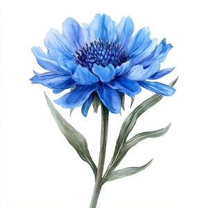 10 decorazioni floreali di fiordaliso stampabili, immagini ad acquerello, clipart botaniche di fiori selvatici, uso commerciale, design di fiori blu carta