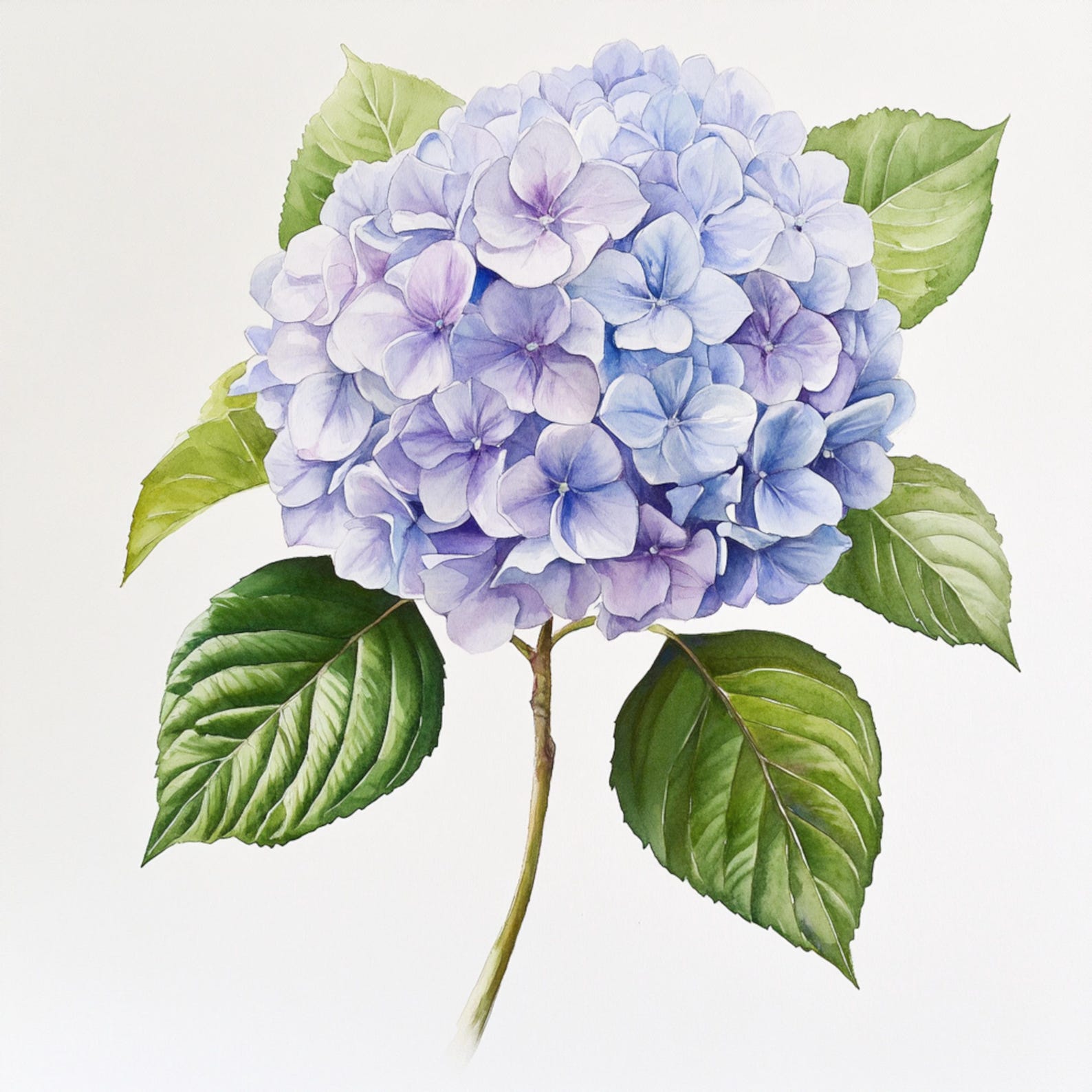 10 Printable Hydrangea Flower, Blue Flower, Housewarming Gift Art ...