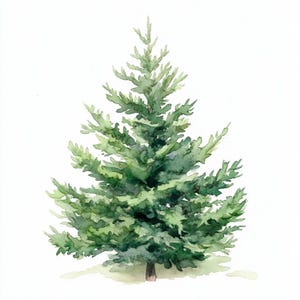 Albero di Natale, stile acquerello, Clipart albero di Natale, 10 Clip Art, JPG stampabili, Download immediato, Uso commerciale, Artigianato di carta