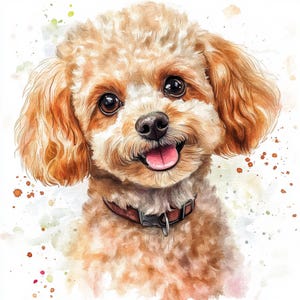 Afdrukbare poedelkunst, puppypoedelafbeeldingen, aquarelkunst, schattige illustraties, huisdierportret, commercieel gebruik, ontwerp voor een papieren, kleine poedelkunst