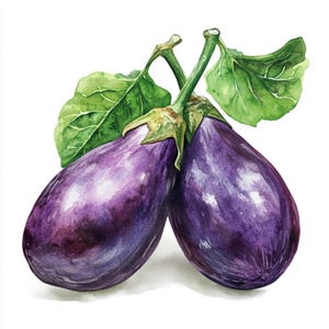 Aubergine imprimable, aubergines aquarelles, art de l'aubergine, 10 images clipart, fichiers JPG imprimables, téléchargement immédiat, usage commercial, impression aubergine longue