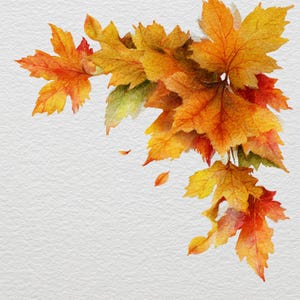 May include: A watercolour illustration of autumnal leaves in shades of yellow, orange, and red. The leaves are arranged in a corner design, with some falling. The artwork has a textured paper background, evoking warmth and the autumn season.