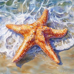 Imágenes prediseñadas de estrellas de mar imprimibles, acuarela de estrellas de mar, imágenes prediseñadas náuticas, archivos JPG imprimibles, arte de estrellas de mar, uso comercial, diseño de papel