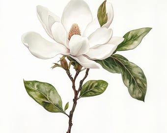 10 印刷可能な水彩画の白いマグノリア、水彩画のマグノリア、春の白い