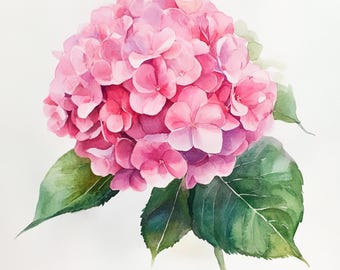 10 fleurs d'hortensia imprimables, fleur rose, art de cadeau de pendaison de crémaillère, clipart aquarelle, impression d'hortensia, art d'hortensias roses