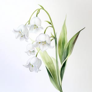 Afdrukbare witte bloem lelietje-van-dalen, aquarelafbeeldingen, botanische lentekunst, illustraties, commercieel gebruik, ontwerp bruiloft witte bloemen