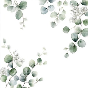 Puede incluir: Pintura acuarela de ramas de eucalipto con flores blancas. Las ramas est&aacute;n dispuestas en forma de cuadrado con las flores en la esquina superior derecha.