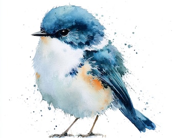 10 Printable birds, Watercolor blue birds, Cute blue bird, realistic watercolor, Commercial Use, Fluffy beautiful birds