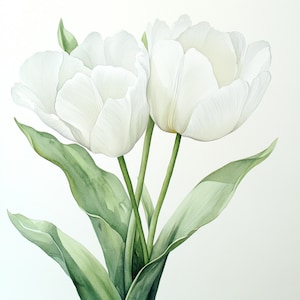Puede incluir: Una pintura de acuarela de tres tulipanes blancos con hojas verdes. Los tulipanes est&aacute;n en plena floraci&oacute;n y las hojas est&aacute;n dispuestas en un patr&oacute;n sim&eacute;trico.
