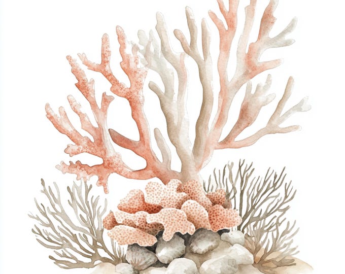 Printable Oyster Clipart, Oyster Watercolor, Nautical Clip Art ...