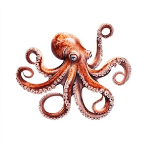 Printable Octopus Clipart, Octopus watercolor, Nautical Clip Art, Printable JPGs, sea animal art, Commercial Use, Paper design