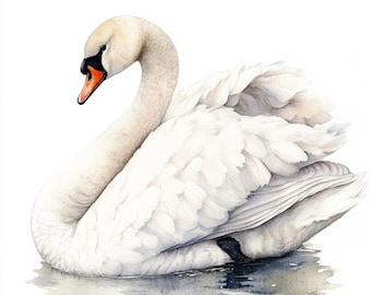10 Printable Swan Clipart, watercolor Swans, Cute ClipArt, wild animal, Commercial Use, Paper design, Beautiful swan