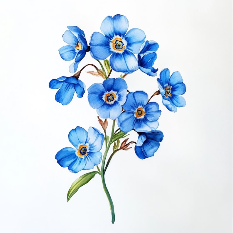 K&ouml;nnte beinhalten: Ein Aquarellbild eines Strau&szlig;es blauer Vergissmeinnicht-Blumen mit gelben Zentren. Die Blumen sind in einer Traube mit Stielen und Bl&auml;ttern angeordnet.
