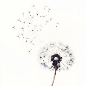 10 afdrukbare paardebloem, witte wilde bloem, minimalistische paardebloemkunst, aquarel clipart, print paardebloem vliegende zaden