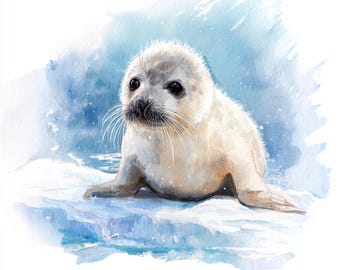 12 Printable Cute Baby Seal, Watercolor Baby Seal, Holiday Clipart, illustration JPGs, Commercial use, baby Seal on ice print