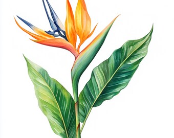 Stampa Su Tela Uccello Del Paradiso (Strelitzia) - 30x20 Cm - Quadro Moderno Senza Cornice, Pronto Da Appendere