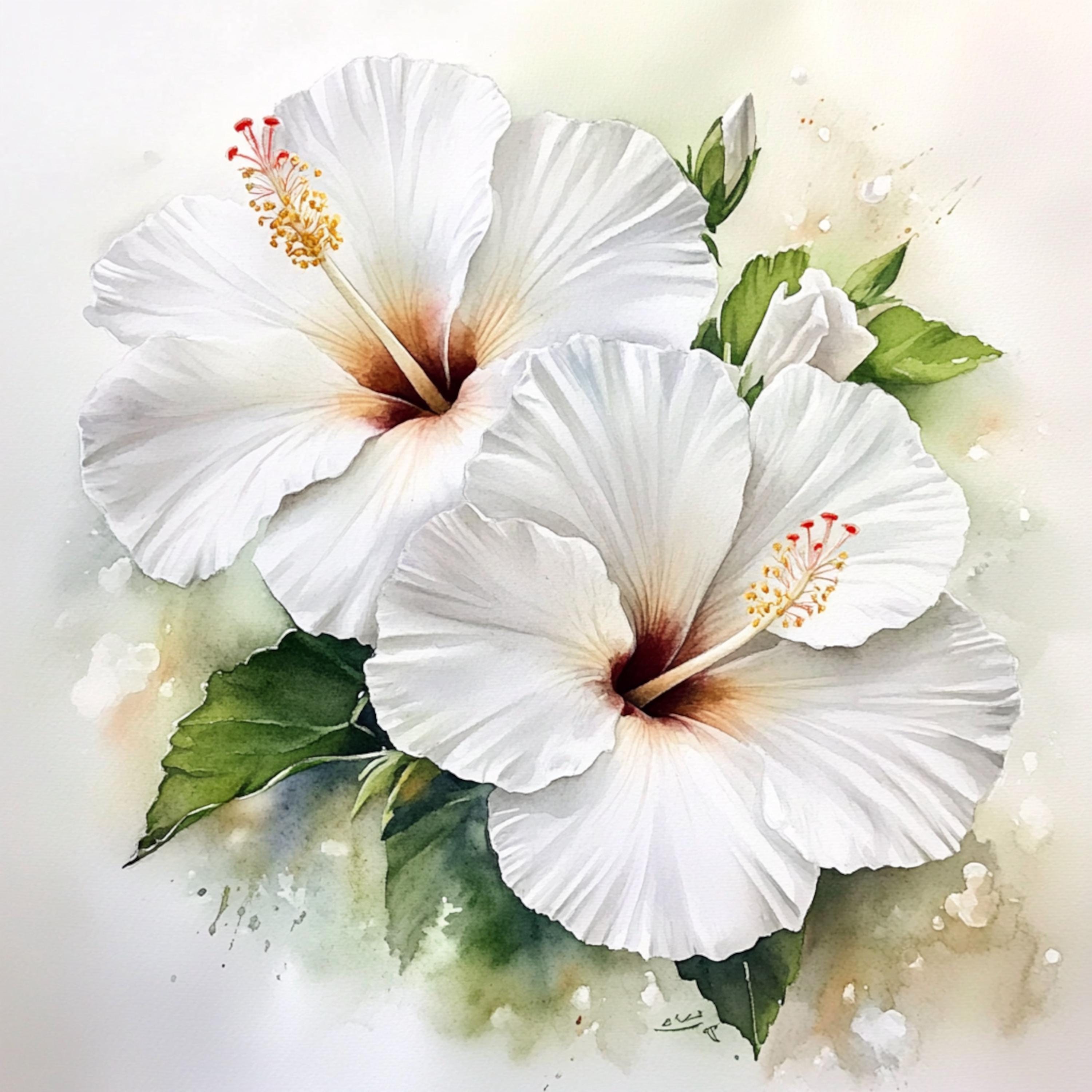 印刷可能な白いハイビスカスの花の装飾、水彩画、ハイビスカスの植物