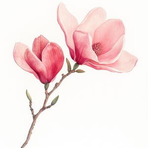 May include: A watercolor painting of two pink magnolia flowers in bloom on a branch with green leaves. The flowers are delicate and have a soft, feminine feel.